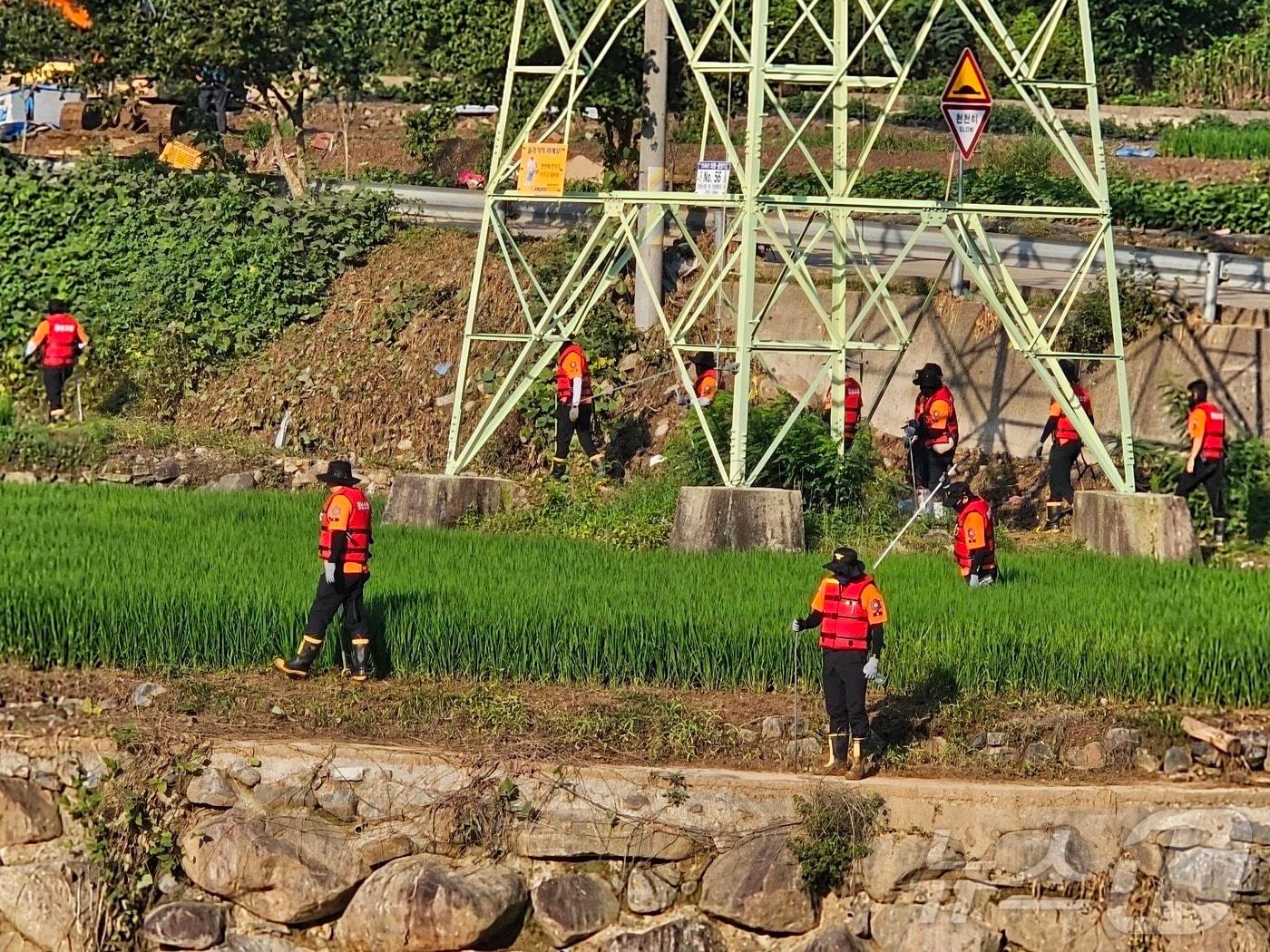 본문 이미지 - 산청 산사태 마지막 실종자를 찾기 위해 당국이 24일 신등면 율현리 일원을 수색하고 있다. 2025.7.24/뉴스1 ⓒ News1 한송학 기자