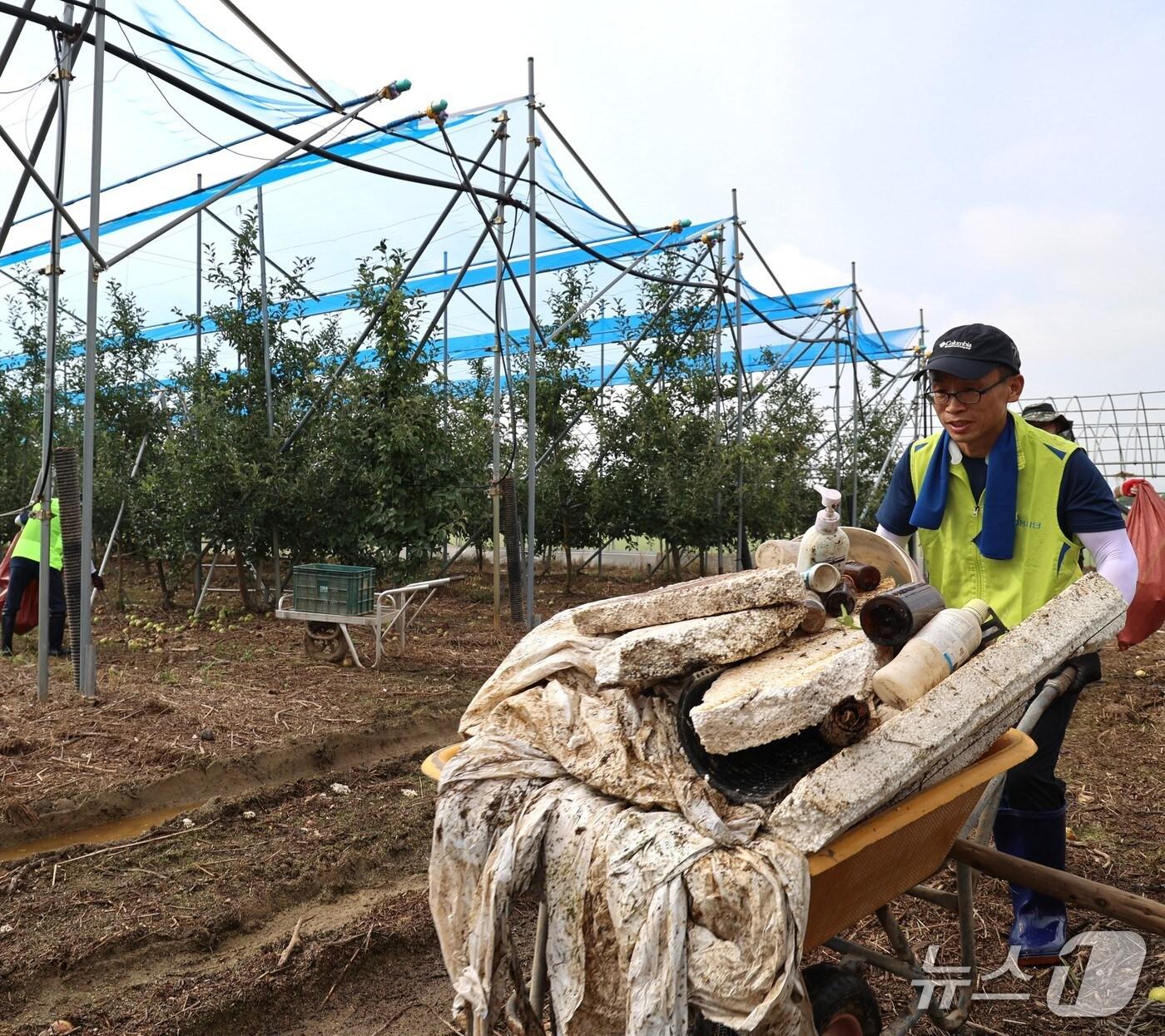 본문 이미지 - NH농협생명은 지난 23일 최근 집중호우로 큰 피해를 입은 충남 아산시를 찾아 수해복구를 위한 일손돕기 활동을 펼쳤다. 사진은 NH농협생명 김기동 부사장이 과수원 침수 잔해물을 정리하는 모습./사진제공=NH농협생명