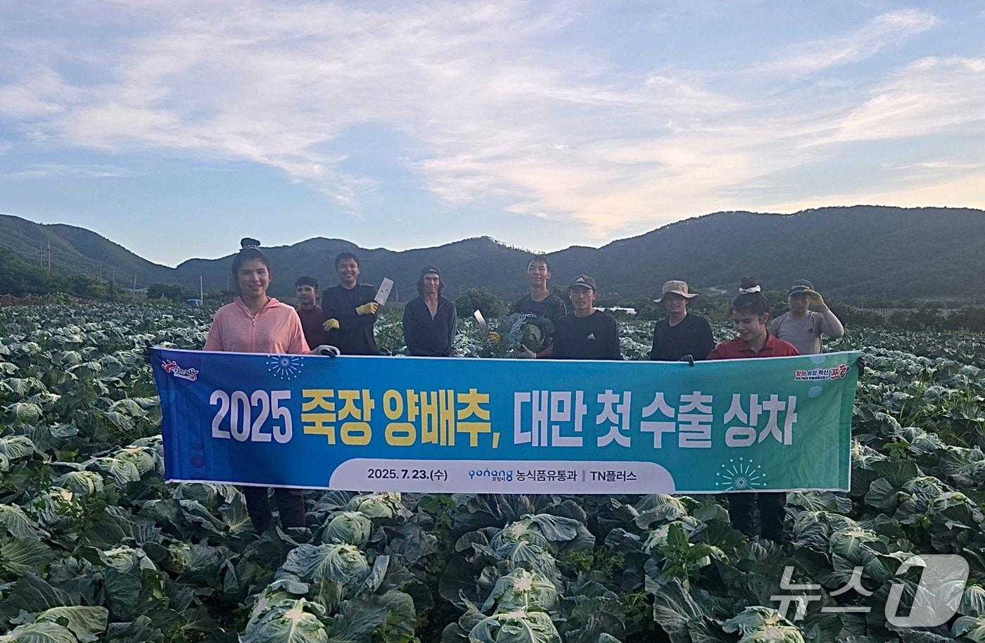 포항시 죽장면에서 생산된 양배추가 대만 수출길에 올랐다.(포항시 제공, 재판매 및 DB금지) 2025.7.24/뉴스1 