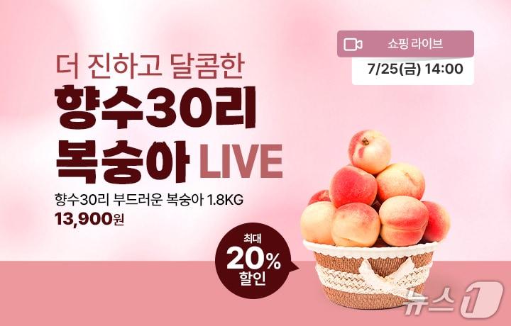 본문 이미지 - 향수30리 복숭아 라이브 장면&#40;옥천군 제공, 재판매 및 DB금지&#41; /뉴스1