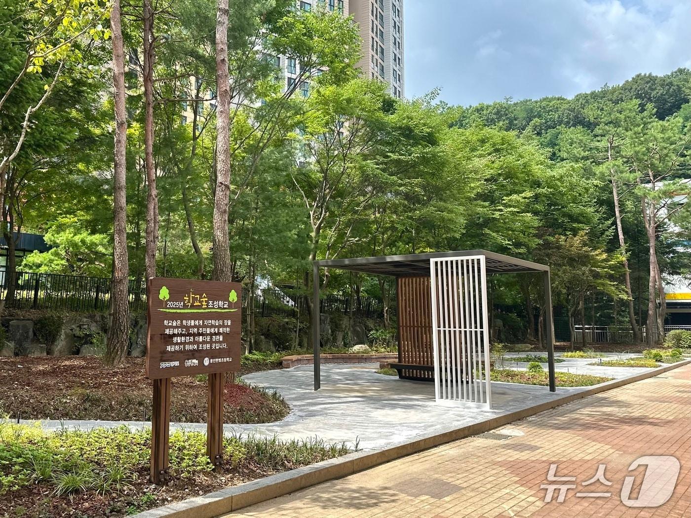 본문 이미지 - 용인한빛초에 조성된 학교 숲 모습.(용인시 제공)