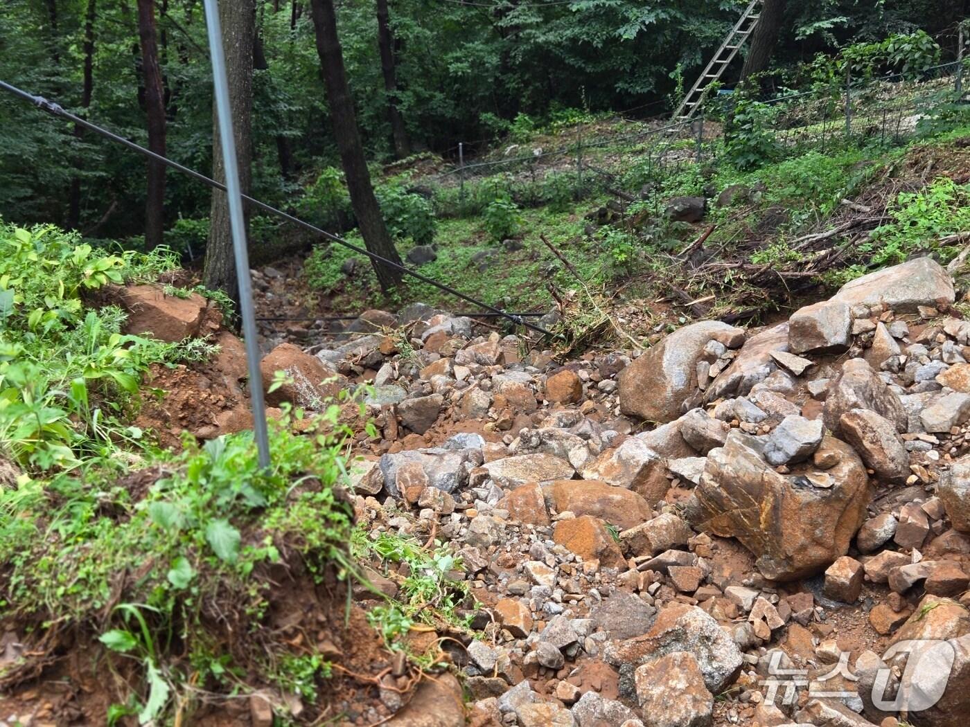 본문 이미지 - 24일 산청 집중 호우 때 파손된 큰별농장의 진입로 모습(강대성 씨 제공. 재판매 및 DB금지). 2025.7.24
