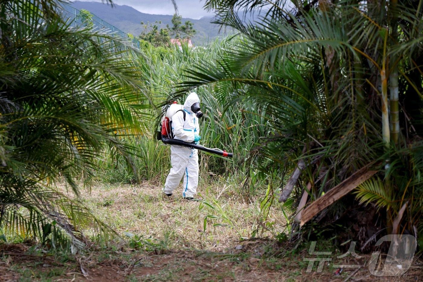 프랑스 해외 영토인 레위니옹섬에서 치쿤구니야 방역의 일환으로 모기 방제 요원이 활동하고 있다. 2025.06.25 ⓒ AFP=뉴스1 ⓒ News1 정은지 특파원