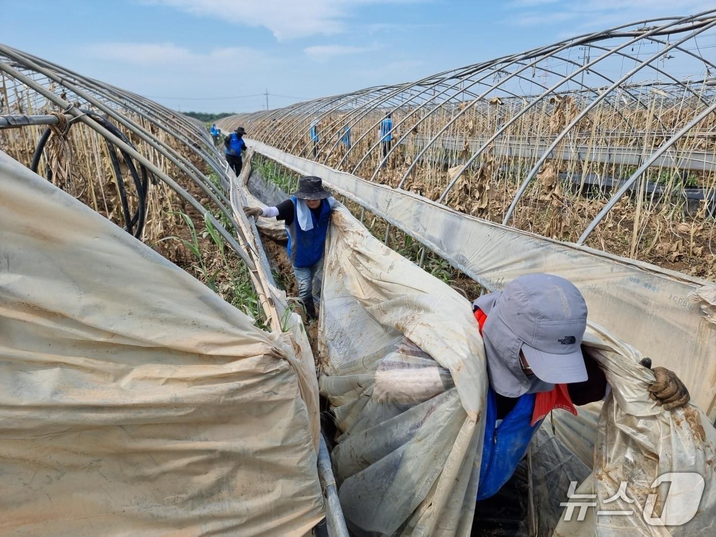 본문 이미지 - 충남경제진흥원 예산군 신암면 침수 피해 농가 복구 지원 (충남경제진흥원 제공. 재판매 및 DB금지)2025.7.24/뉴스1