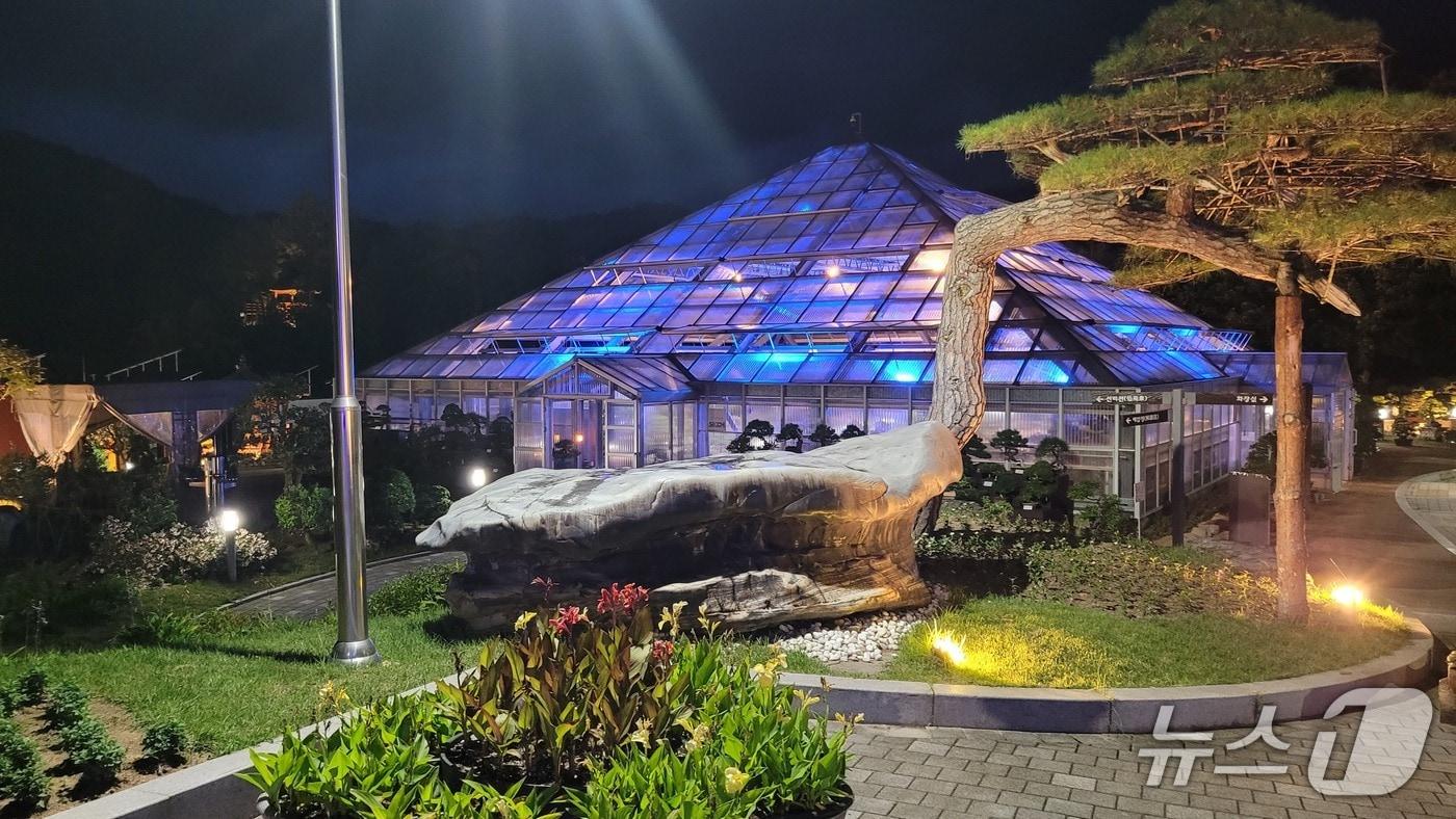 양구수목원 야간개장./뉴스1
