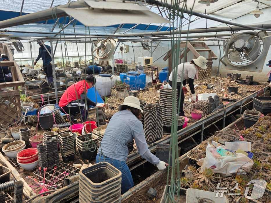 본문 이미지 - 금산군 공직자 호우 피해 복구 모습(금산군 제공.재판매 및 DB 금지)/뉴스1