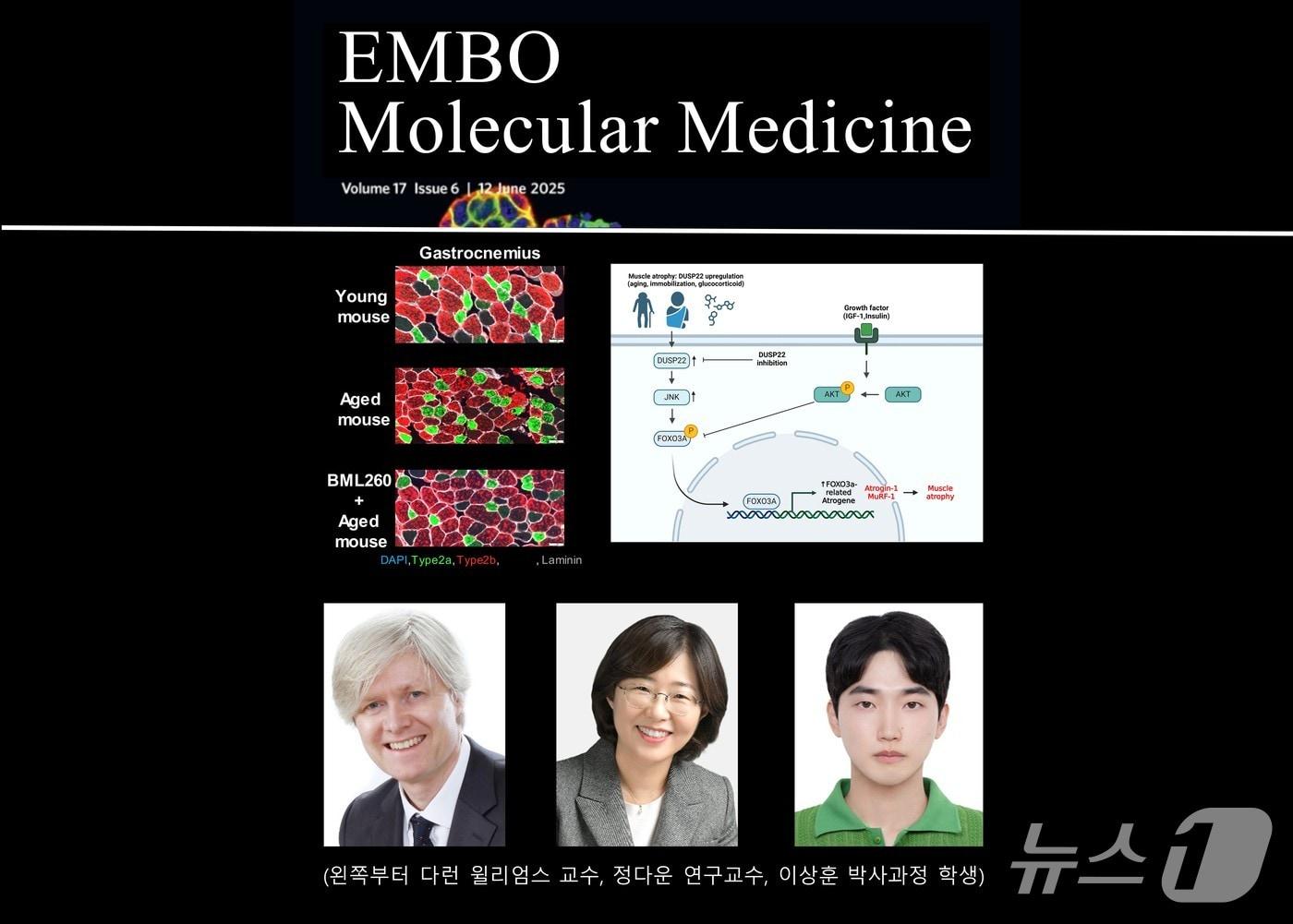 본문 이미지 - 논문 이미지와 연구진. 다런 윌리엄스 교수,정다운 연구교수, 이상훈 박사과정생(왼쪽부터)(지스트 제공, 재판매 및 DB금지)/뉴스1