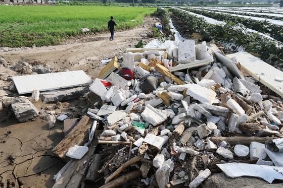 본문 이미지 - 24일 오전 수해 피해를 입은 경기도 가평군 조종면의 포도밭에서 관계자들이 복구 작업을 하고 있다. 2025.7.24/뉴스1 ⓒ News1 이광호 기자