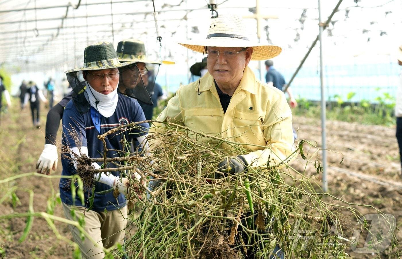 김영록 전남지사가 24일 집중호우로 큰 피해를 입은 나주지역 농가를 찾아 시설하우스 고사 작물과 폐기자재 제거 등 피해복구 지원활동을 벌였다.(전남도 제공, 재배포 및 DB 금지)/뉴스1 2025.7.24/뉴스1