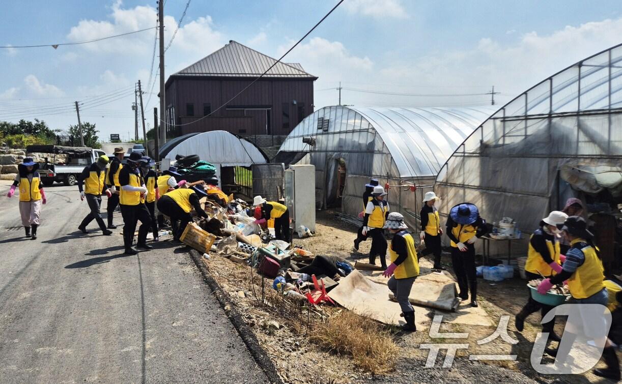 본문 이미지 - 광주시 공무원들이 24일 북구 용강동 비닐하우스에서 수해 복구 자원 봉사 활동을 하고 있다.(광주시 제공. 재판매 및 DB 금지) 2025.7.24/뉴스1