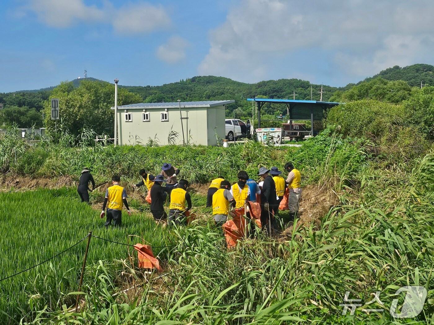 본문 이미지 - &#40;인천 옹진군 제공.재판매 및 DB금지&#41;