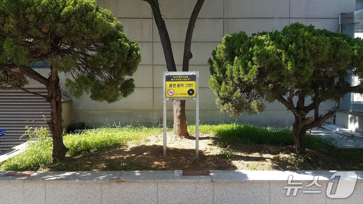 (서울 서초구 제공)  