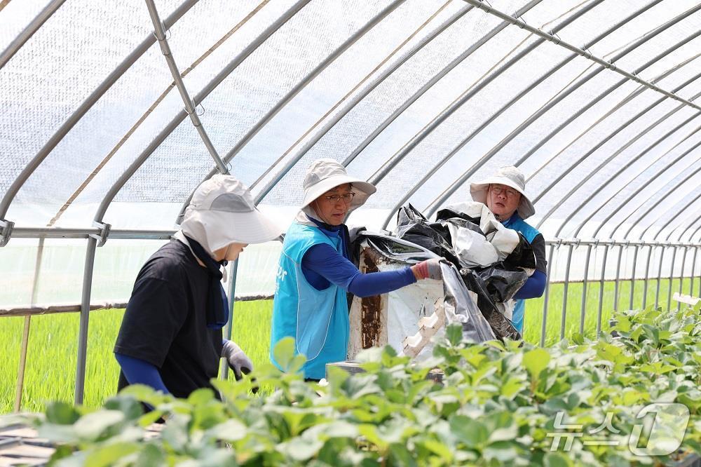 본문 이미지 - 한국수자원공사 물사랑나눔단이 충남 서산시 성연면 소재 지역 농가의 피해 복구를 지원하고 있다. (사진 왼쪽 두 번째부터 한국수자원공사 류형주 부사장, 박기찬 노동조합위원장)(한국수자원공사 제공.재판매 및 DB금지)/뉴스1