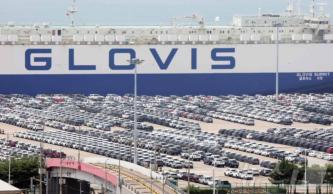 경기 평택시 포승읍 평택항에 수출용 차량들이 세워져 있는 모습. 2025.7.24/뉴스1 ⓒ News1 김영운 기자