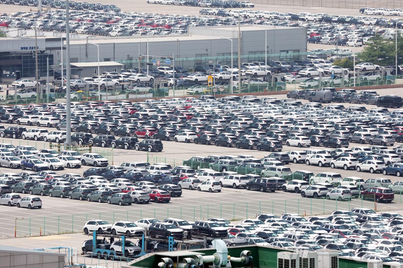 경기 평택시 포승읍 평택항에 수출용 차량들이 세워져 있다. 2025.7.24/뉴스1 ⓒ News1 김영운 기자