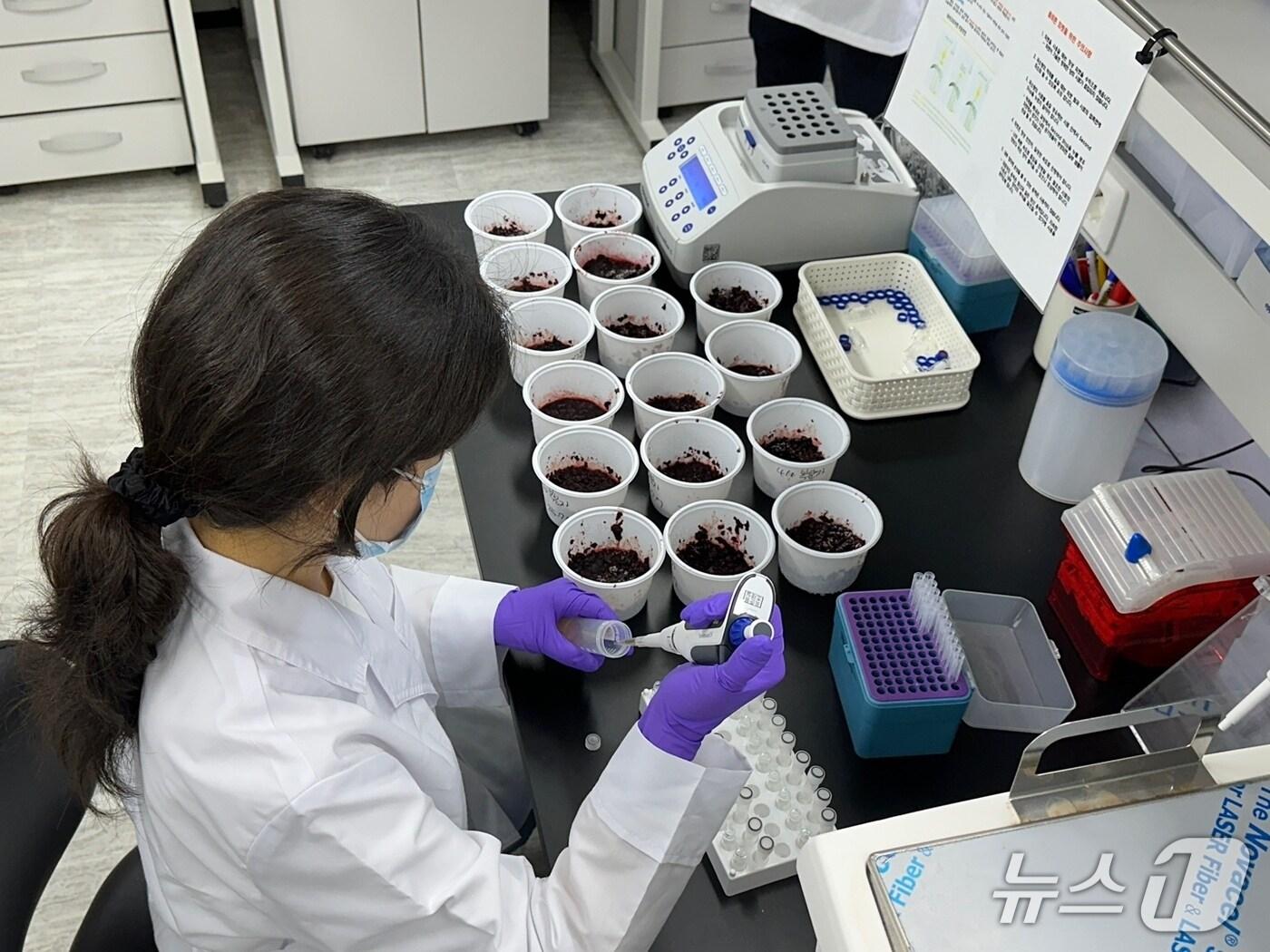 본문 이미지 - 고창 복분자 잔류농약 안전성 검사.&#40;고창군 제공. 재판매 및 DB금지&#41;