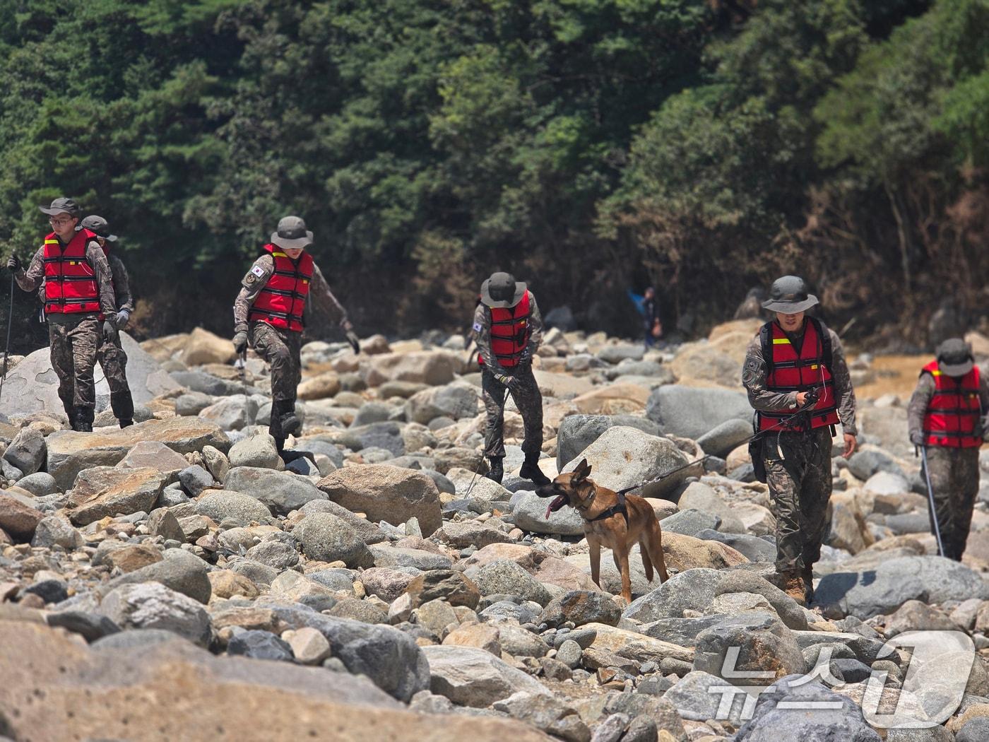 본문 이미지 - 육군 39사단 장병들이 24일 경남 산청 일대에서 군견을 동원해 실종자 수색을 하고 있다.(육군 제공. 재판매 및 DB금지) 2025.7.24/뉴스1 ⓒ News1 민경석 기자
