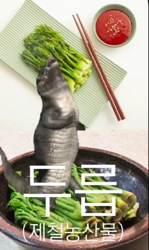 본문 이미지 - 농림축산식품부 인스타그램 두릅 홍보 영상 일부. (농림축산식품부 제공) 2025.07.24 /뉴스1