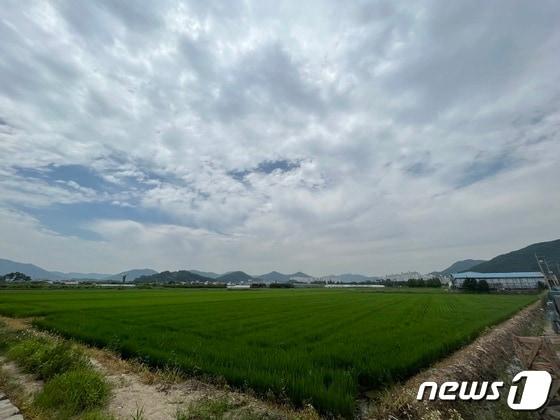 본문 이미지 - 김해시 풍유동 풍유일반물류단지 부지 전경. ⓒ 뉴스1 DB