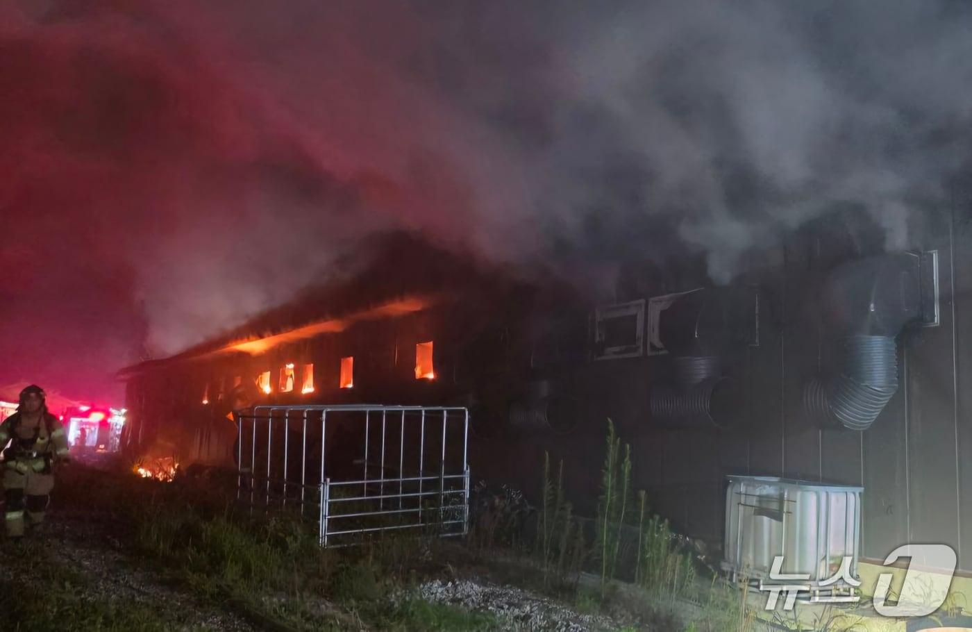 안성시 서운면 돼지농장 화재 현장.&#40;경기도소방재난본부 제공. 재판매 및 DB금지&#41;