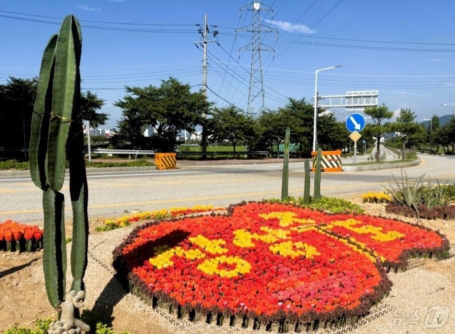 본문 이미지 - 상주시, 기후회복력 고려한 ‘상상주도 선인장 정원’ 조성 ⓒ News1 김대벽기자