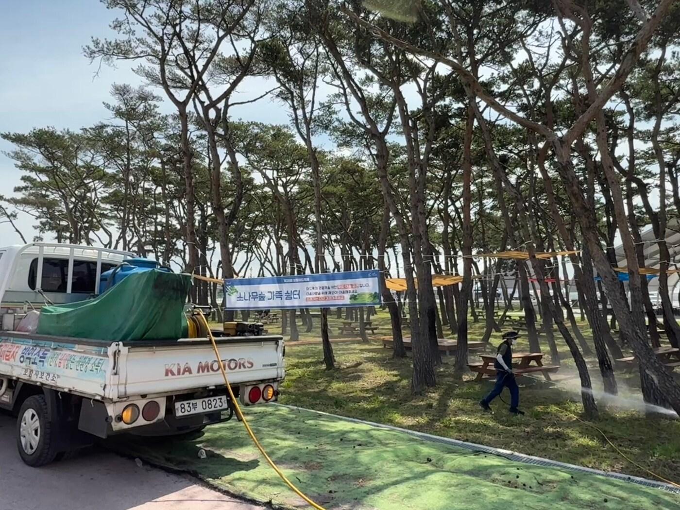 본문 이미지 -  보령머드축제장 인근 방역 활동 모습.(보령시 제공. 재판매 및 DB금지)/뉴스1