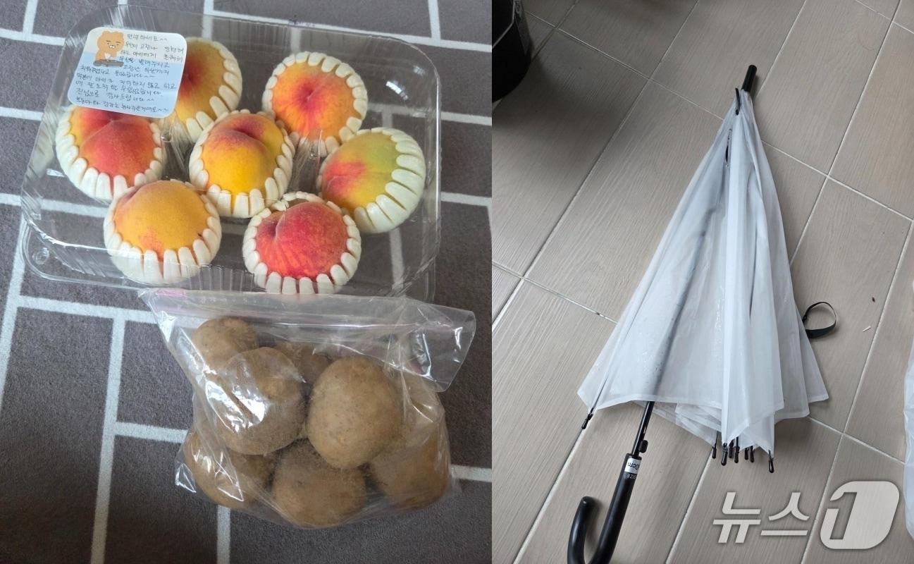 본문 이미지 - ('보배드림')