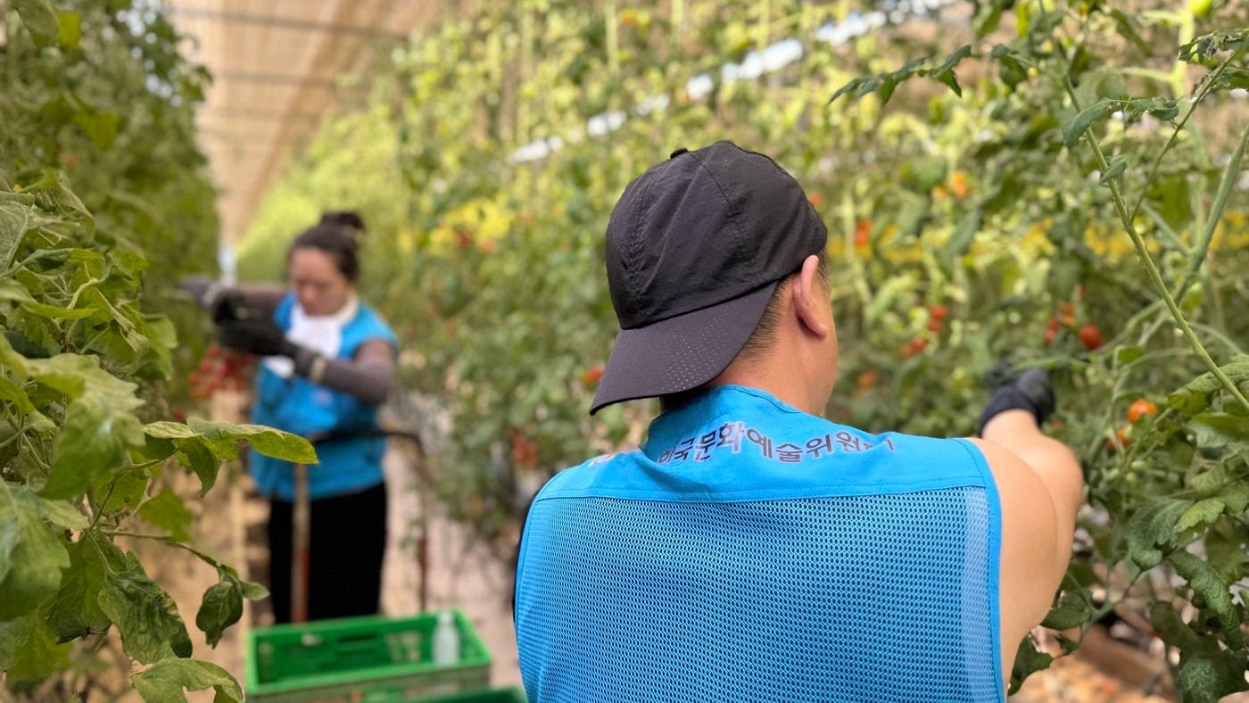 아르코 직원들 복구 활동 사진&#40;한국문화예술위원회 제공&#41;
