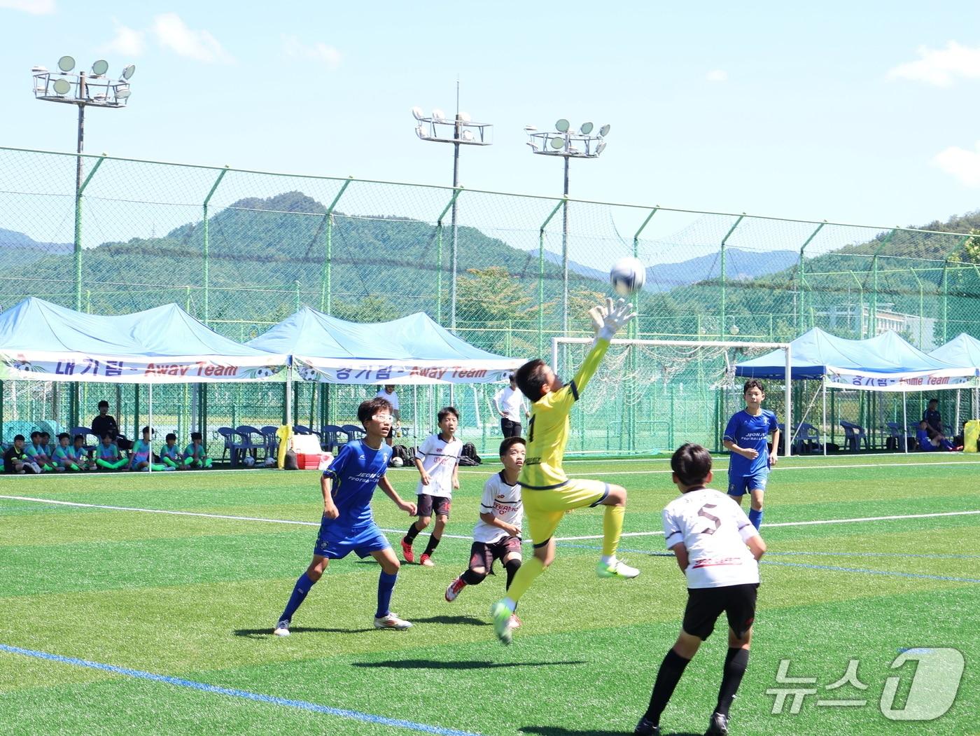 본문 이미지 - 25일 보은  스포츠파크 천연잔디구장에서 '보은컵 국제유소년축구 왕중왕전'이 열리고 있다. (보은군 제공, 재판매 및 DB금지) /뉴스1