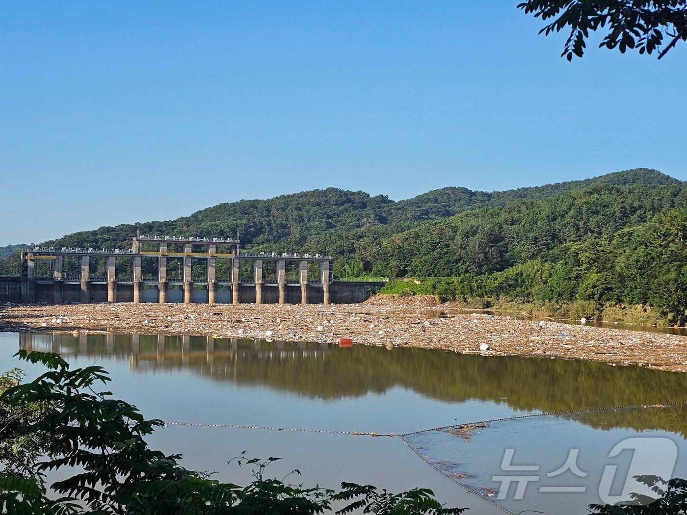 본문 이미지 - 25일 진주시 진양호에 최근 산청 집중 호우로 나뭇가지와 생활쓰레기 등 부유물이 떠내려 와 있다. 2025.7.25 ⓒ News1 한송학 기자