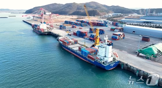 본문 이미지 -  서산 대산항 전경. / 뉴스1