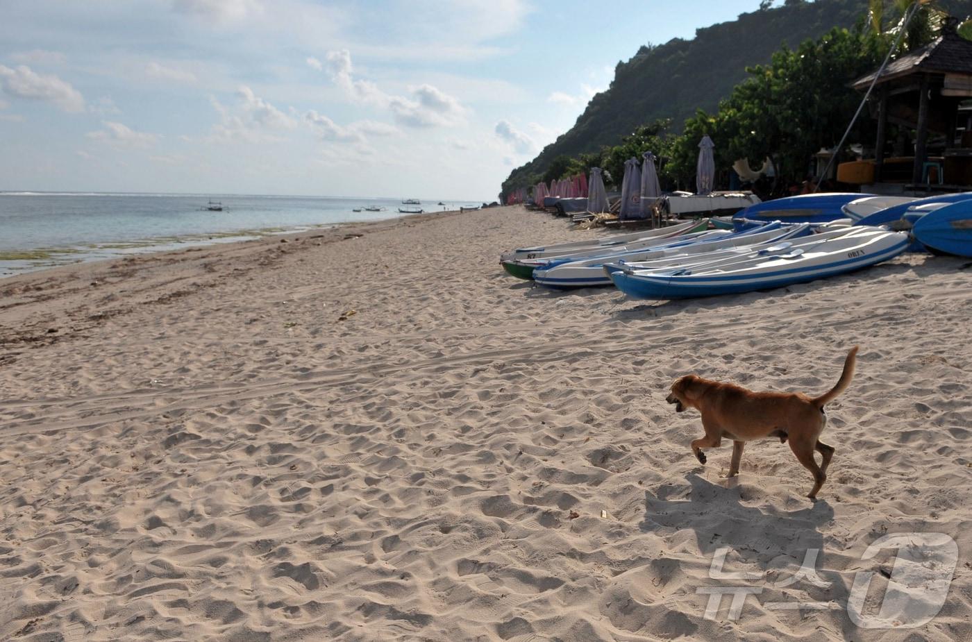 2020년 3월 21일 인도네시아 발리주 바둥 지역의 한 해변 모습. (사진은 기사 내용과 무관함) 2020.03.21. ⓒ 로이터=뉴스1 ⓒ News1 윤다정 기자