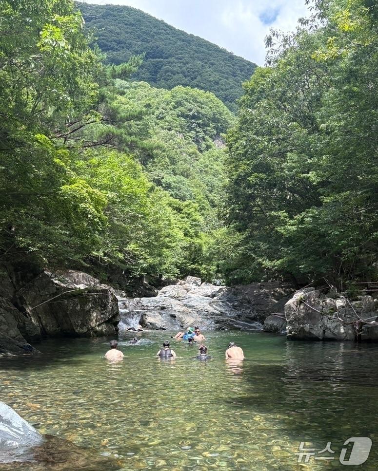 본문 이미지 - 26일 낮 12시쯤 양산 원동면 배내골 인근의 한 계곡에서 피서객들이 물놀이를 즐기고 있다. ⓒ 뉴스1 박민석 기자