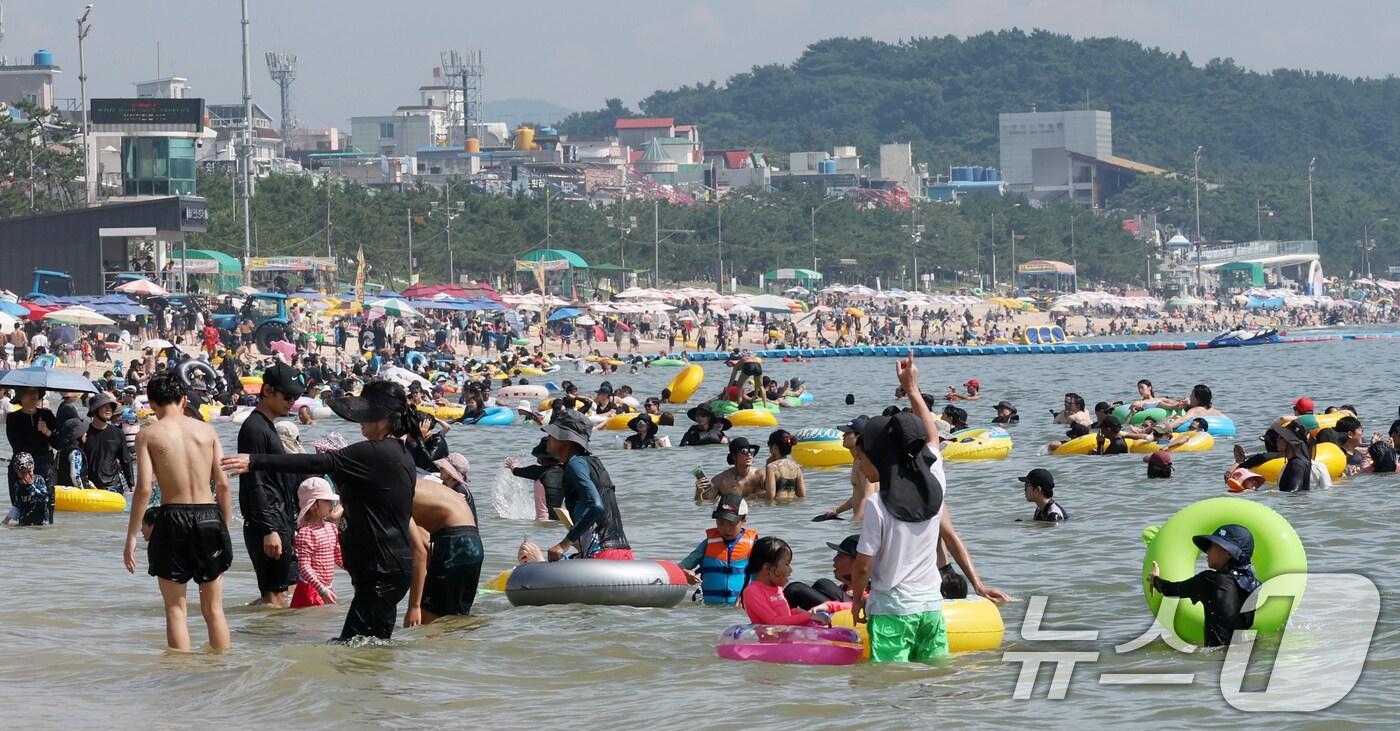 충남 보령 대천해수욕장. (자료사진) /뉴스1 ⓒ News1 김기태 기자