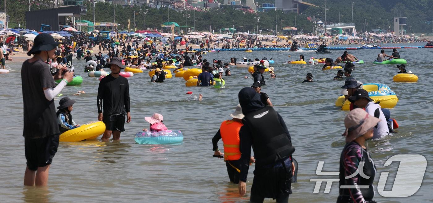 지난달 26일 본격적인 휴가철을 맞아 26일 충남 보령 대천해수욕장에서 관광객들이 즐거운 시간을 보내고 있다. /뉴스1 ⓒ News1 김기태 기자