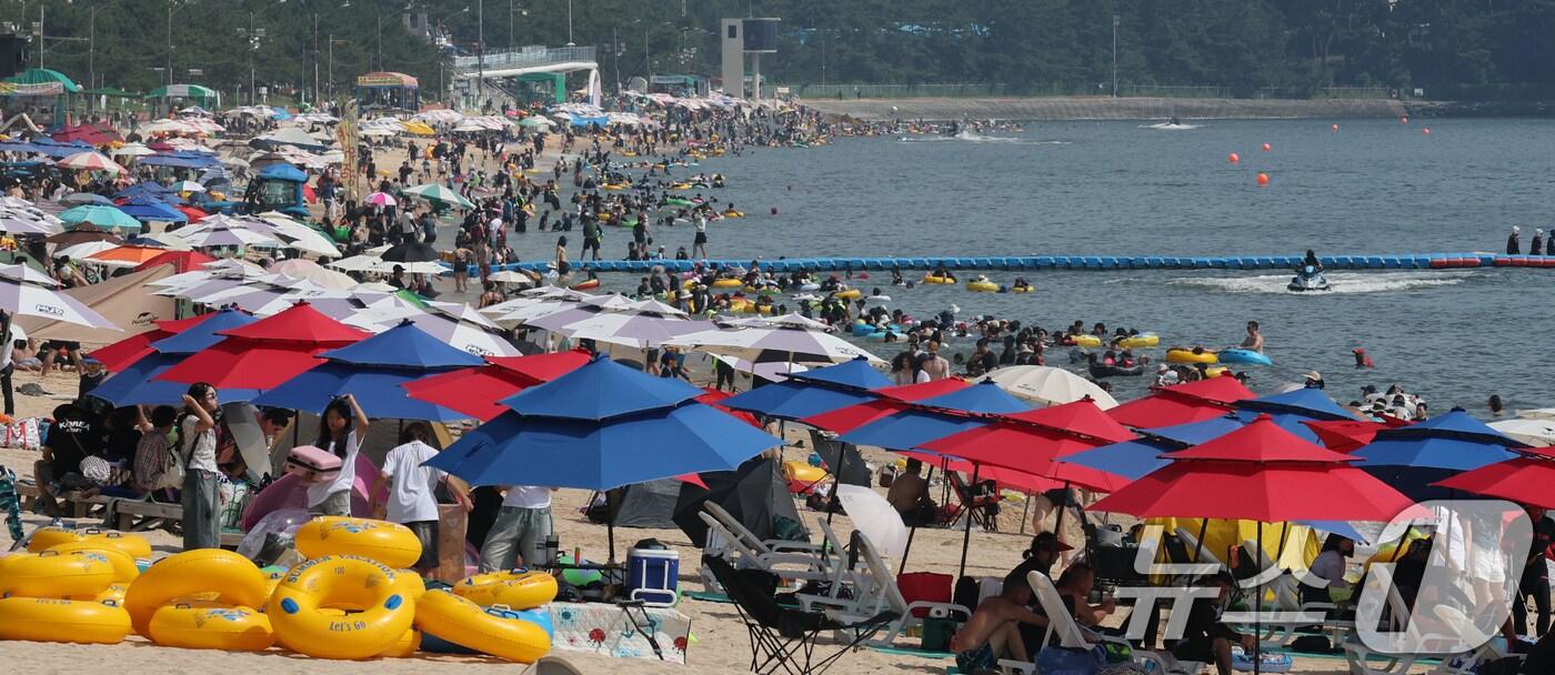 충남 보령 대천해수욕장.(뉴스1DB)/뉴스1