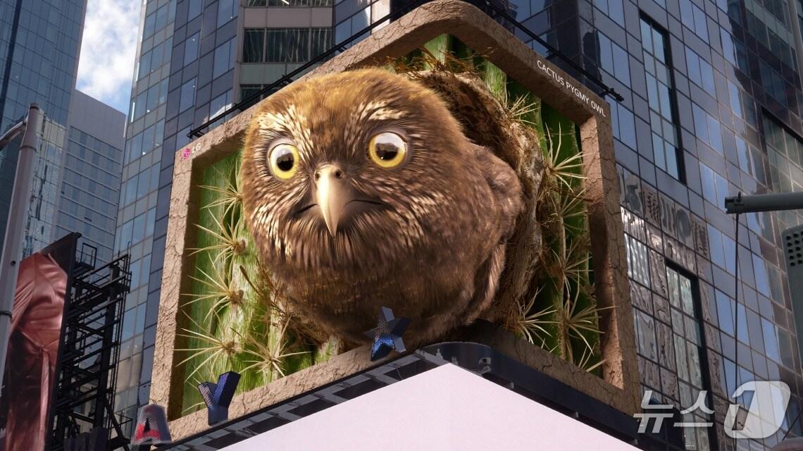 본문 이미지 - LG전자는 미국 뉴욕 타임스스퀘어 전광판에서 '피그미 올빼미'를 주제로 한 7번째 ‘LG와 함께하는 위기 동물 보호 캠페인’ 영상을 공개했다. 이번 영상은 이상기후 등으로 서식지를 위협받는 '피그미 올빼미'의 모습을 3D로 보여주며 환경 파괴의 심각성을 알린다.(LG전자 제공) 
