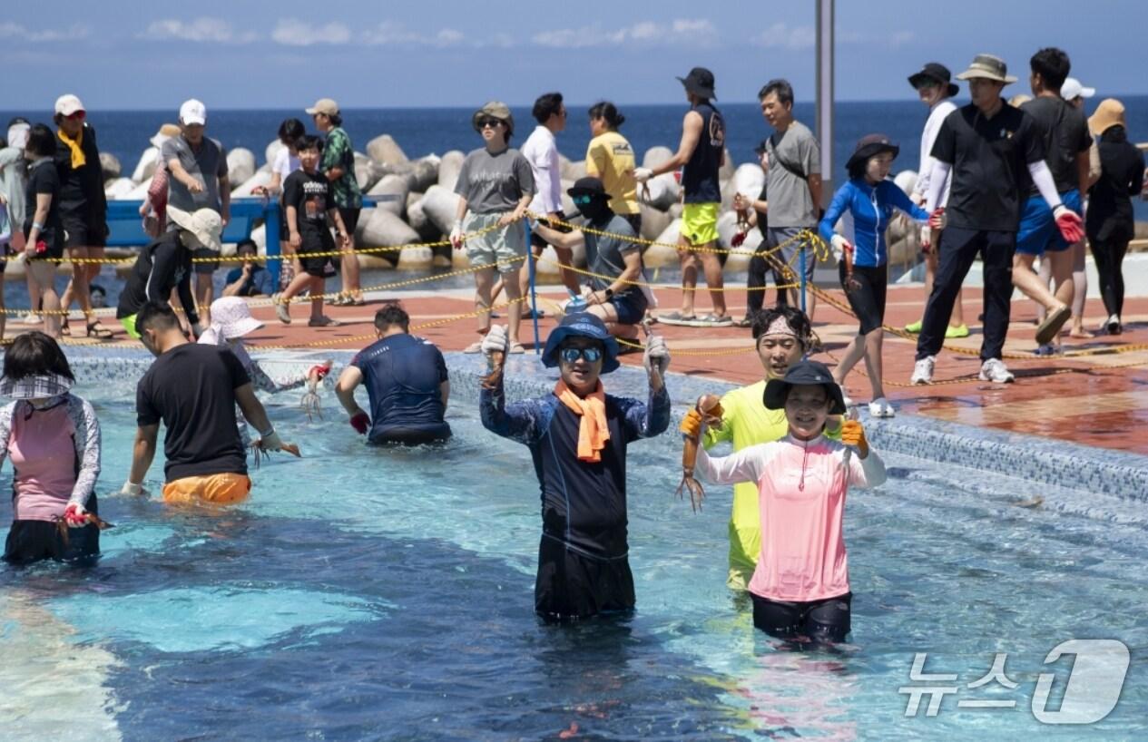 본문 이미지 - 여름 휴가철을 맞아 경북 곳곳에서 다채로운 축제가 열린다. 사진은 지난해 열린 울릉도 오징어축제 모습.(경북도 제공. 재판매 및 DB 금지)