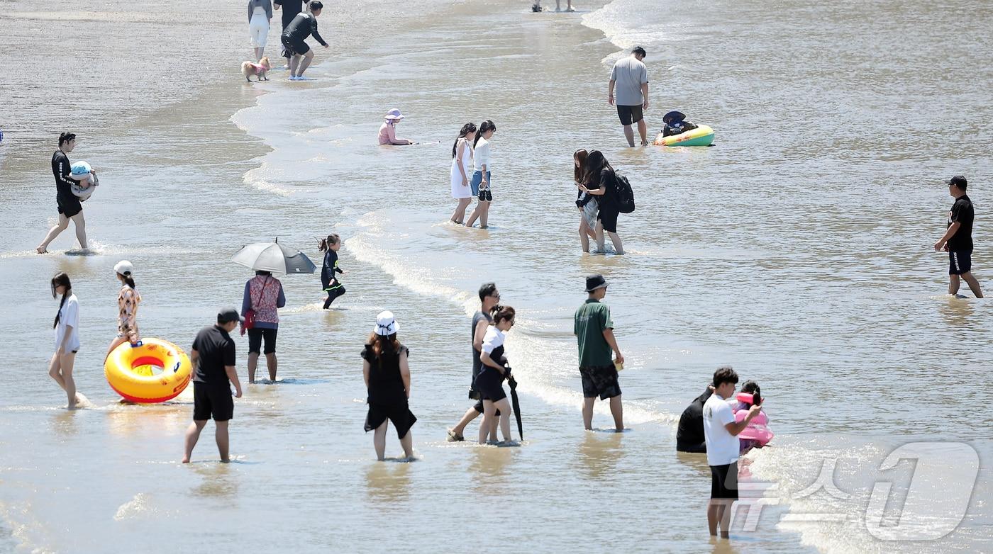 자료사진/뉴스1