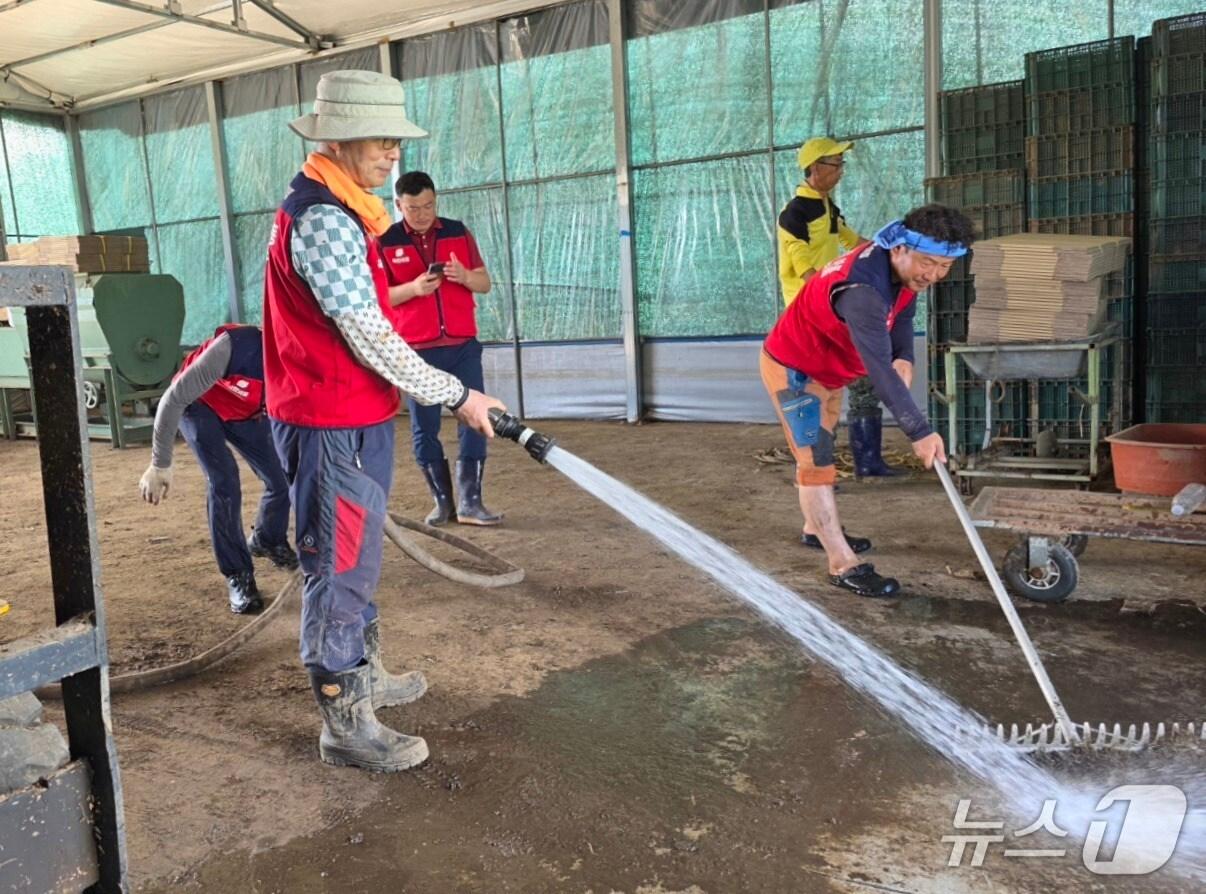 본문 이미지 - 국민의힘 사남하 당원협의회 자원봉사자들과 서천호 의원이 옥종면 딸기 농가에서 수해 복구 작업을 거들고 있다.(독자 제공. 재판매 및 DB금지)