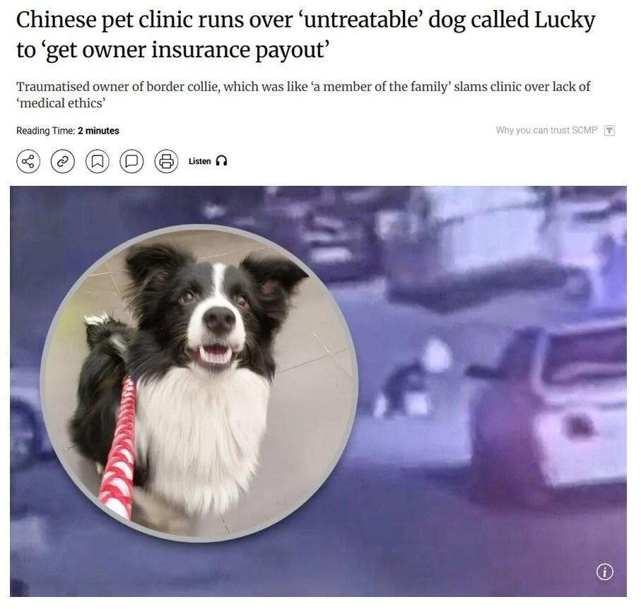 본문 이미지 - (SCMP 갈무리)