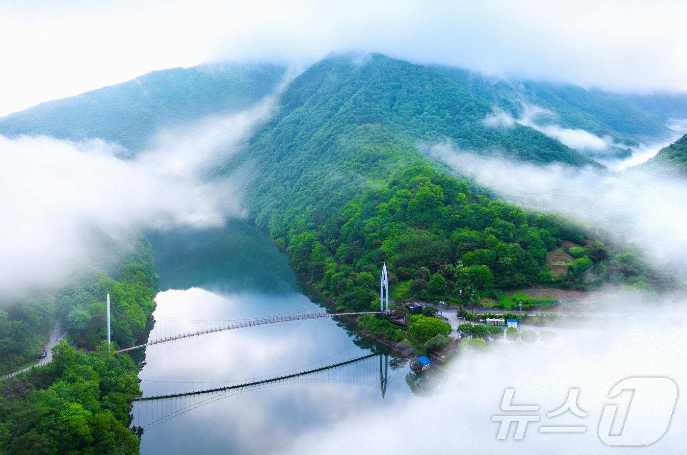 17회 아름다운 괴산 관광 사진 전국 공모전에서 금상을 받은 이재규 씨의 작품 '연하협구름다리.(괴산군 제공)/뉴스1 2025.7.28/뉴스1