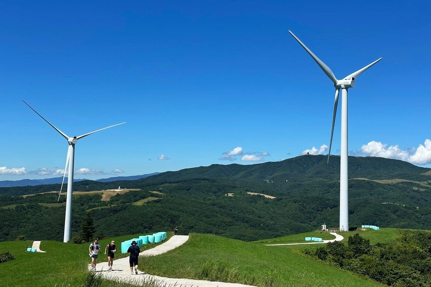 &#39;제1회 평창 오리엔티어링 페스티벌&#39; 현장 사진.&#40;삼양라운드힐 제공&#41;