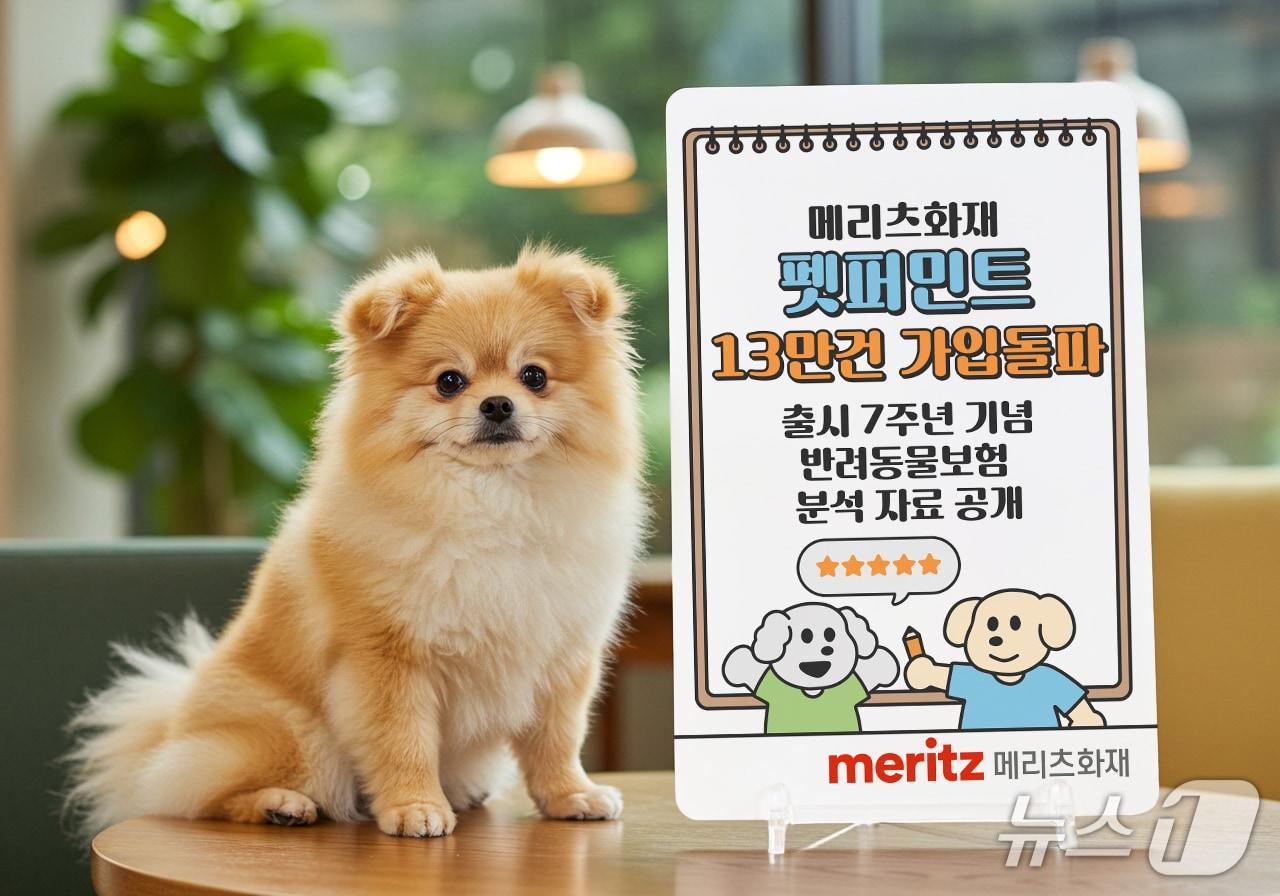 본문 이미지 - ‘펫보험은 역시 메리츠화재’…펫퍼민트 출시 7년 만에 가입 13만건 돌파/사진제공=멜리츠화재