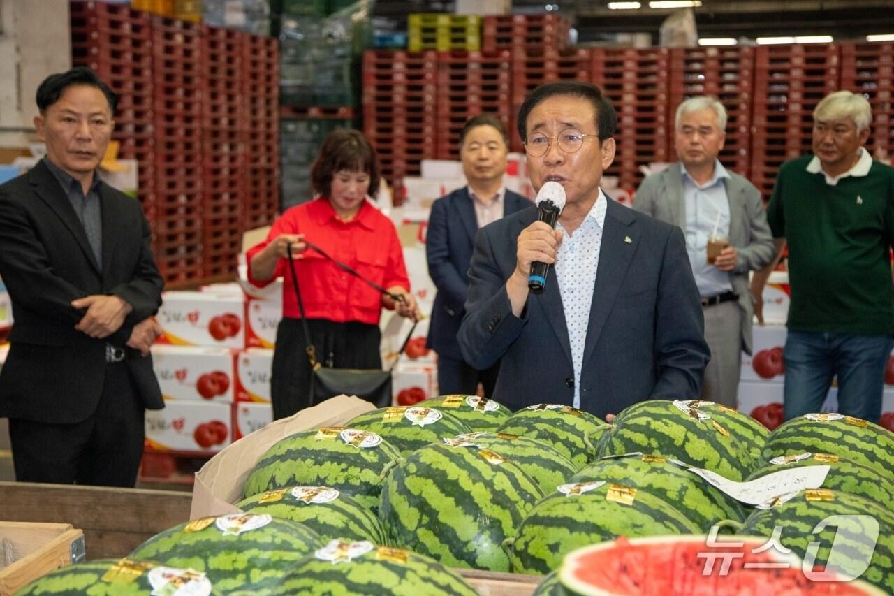 본문 이미지 - 단양군 어상천 명품 수박 출하 모습&#40;단양군 제공. 재판매 및 DB금지&#41;/뉴스1  