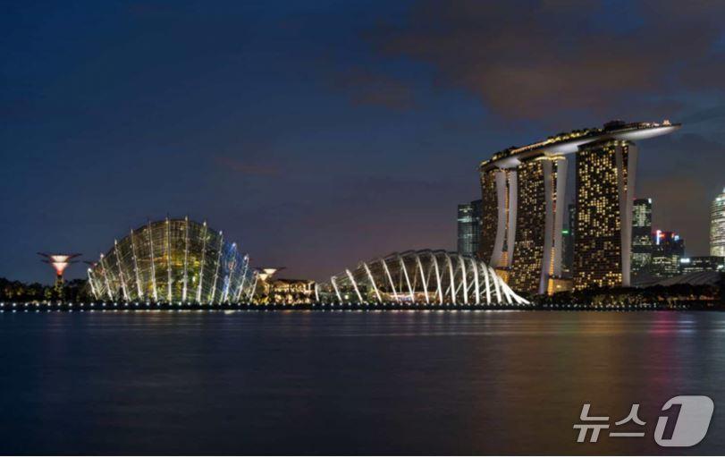 본문 이미지 -  싱가포르 '가든스 바이 더 베이' 조명 (LPA 홈페이지 갈무리)