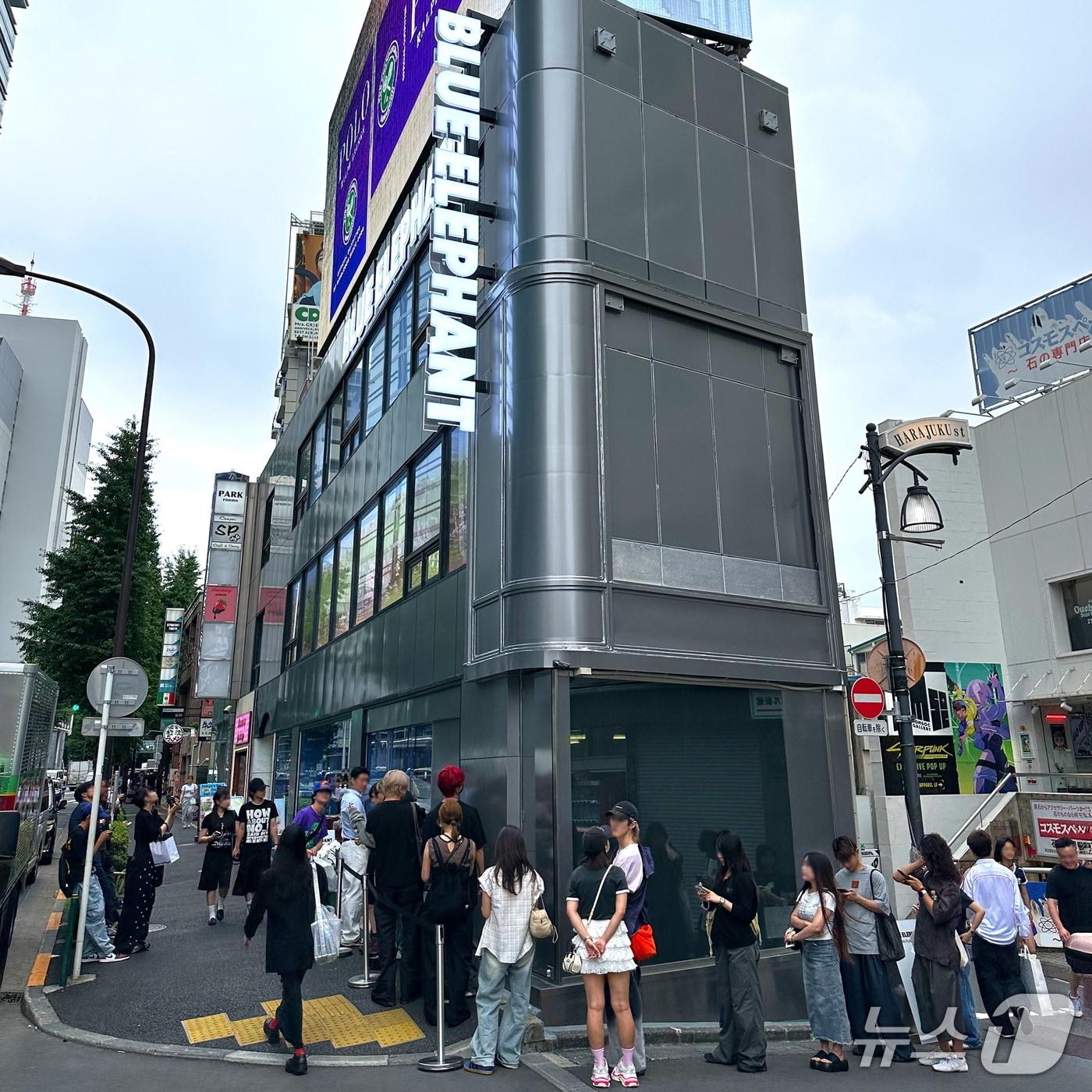 본문 이미지 - 사진=블루엘리펀트(BLUE ELEPHANT) 제공