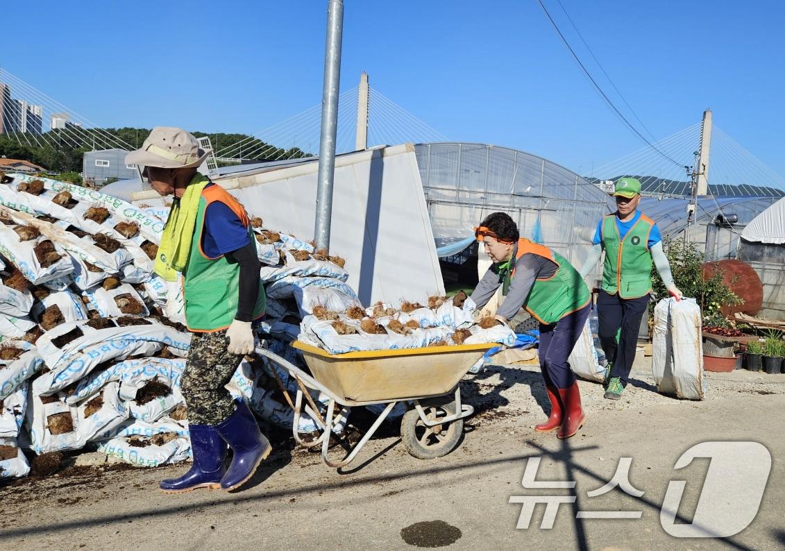 본문 이미지 - 광주시자율방재단연합회가 27일 집중 호우로 피해를 입은 광산구 농가를 찾아 복구 활동을 펼치고 있다.&#40;광주시 제공. 재판매 및 DB 금지&#41; 2025.7.28/뉴스1 ⓒ News1 박준배 기자