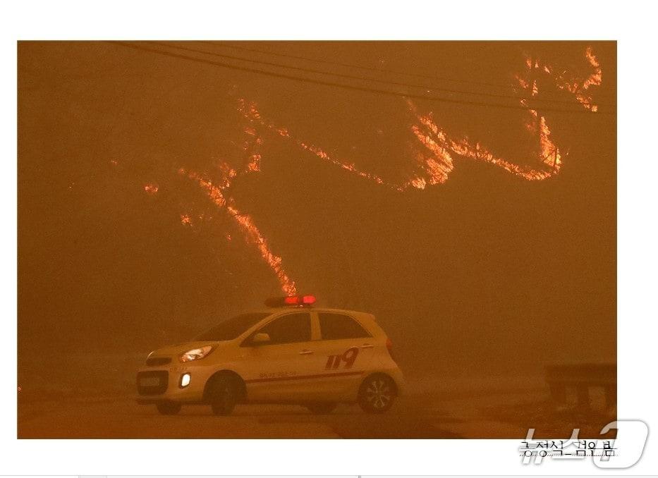 본문 이미지 - 대구사진비엔날레는 28일 전국을 대상으로 공모한 '프린지 포토 페스티벌'에 선정된 20팀을 홈페이지에 발표했다. 사진은 단체팀으로 참가한 뉴스1 공정식 기자의 '검은 봄'. (대구사진비엔날레 제공. 재판매 및 DB 금지)/뉴스1