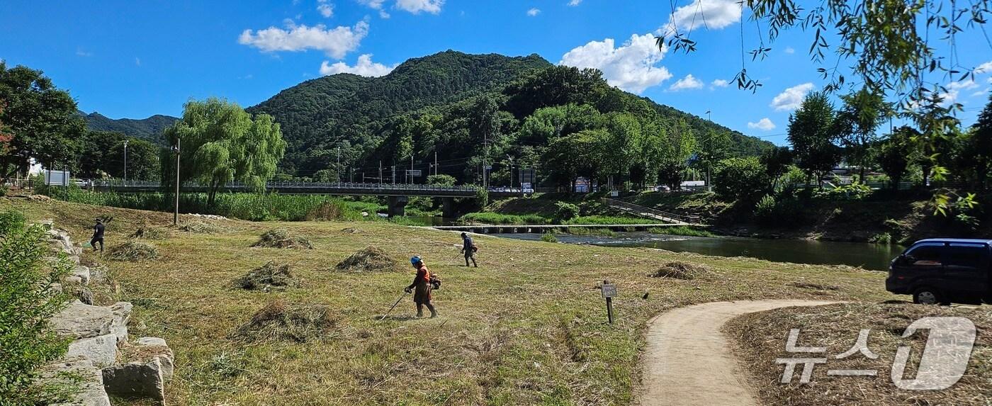 27일 전주천 한벽당 일대 수변 식생 제거 모습.&#40;전북환경운동연합 제공. 재판매 및 DB금지&#41;